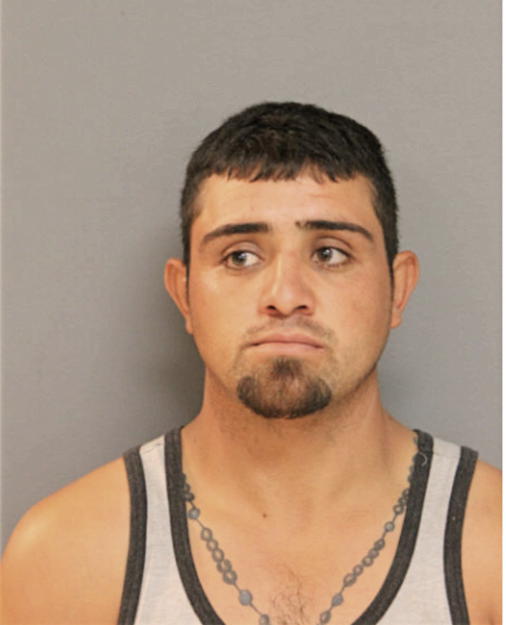 LUIS SANDOVAL MEDINA, Cook County, Illinois