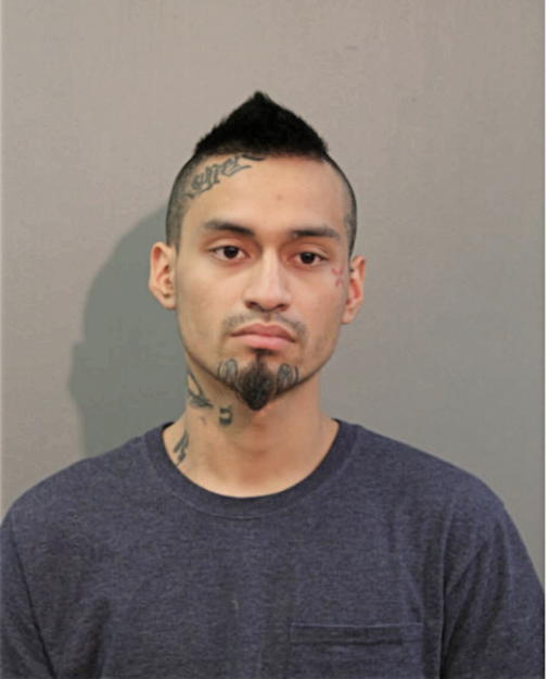 EDWIN GIOVANNY ORTIZ, Cook County, Illinois