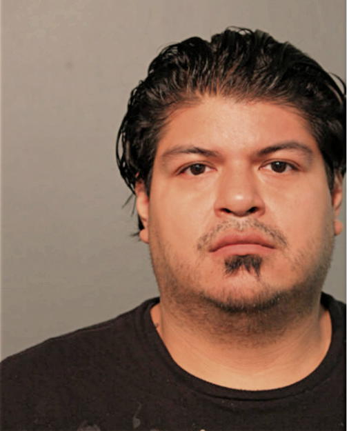 CESAR PURUNCAJAS, Cook County, Illinois