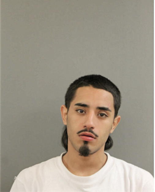 ANGEL L RAMOS, Cook County, Illinois