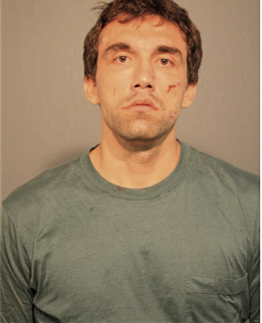 DAVID J RANABARGAR, Cook County, Illinois