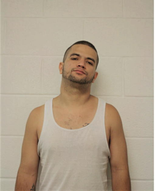 LUIS A RIVERA, Cook County, Illinois