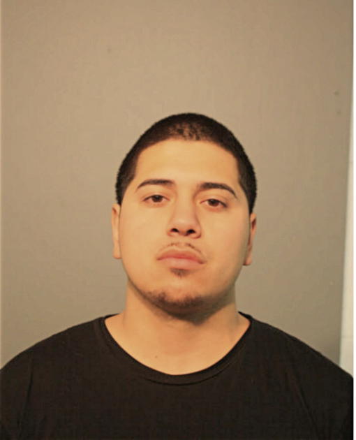 ALBERT ROMAN, Cook County, Illinois