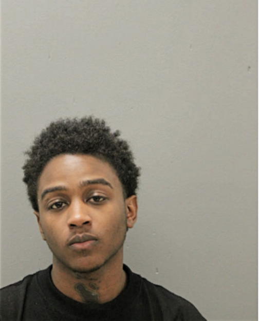 DARNELL A SHANNON, Cook County, Illinois