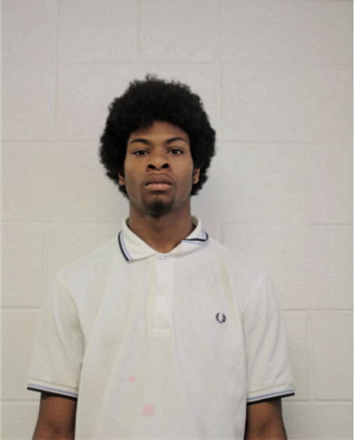JAMELL J SIMS, Cook County, Illinois