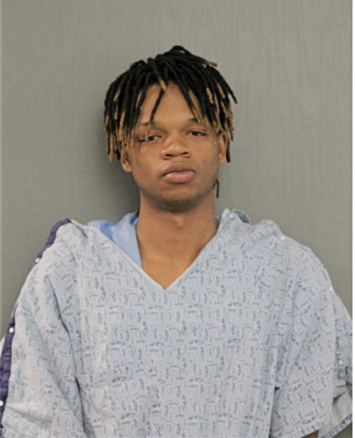 KEVIN L SMITH, Cook County, Illinois