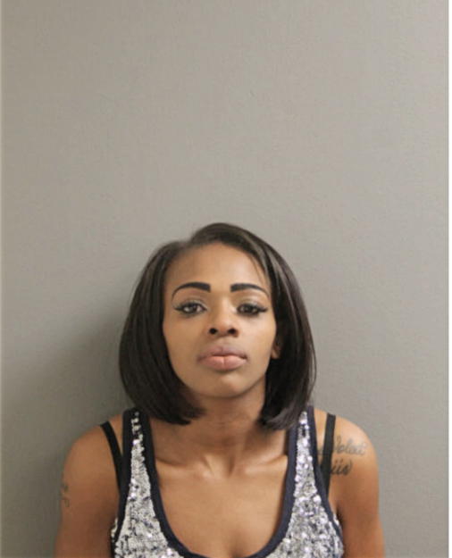 TIERRA ANTOINETTE STEEN, Cook County, Illinois