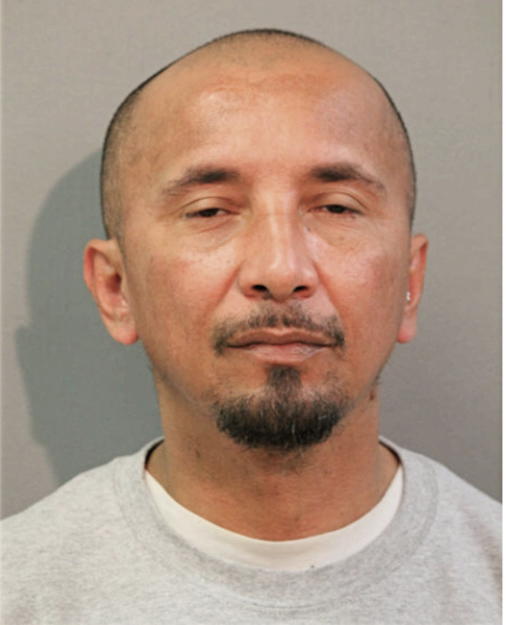 SANTO G TIRADO, Cook County, Illinois