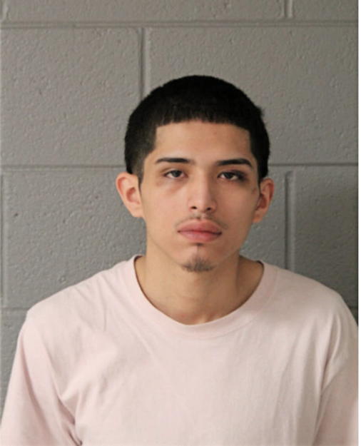 AMADEUS H VARGAS, Cook County, Illinois