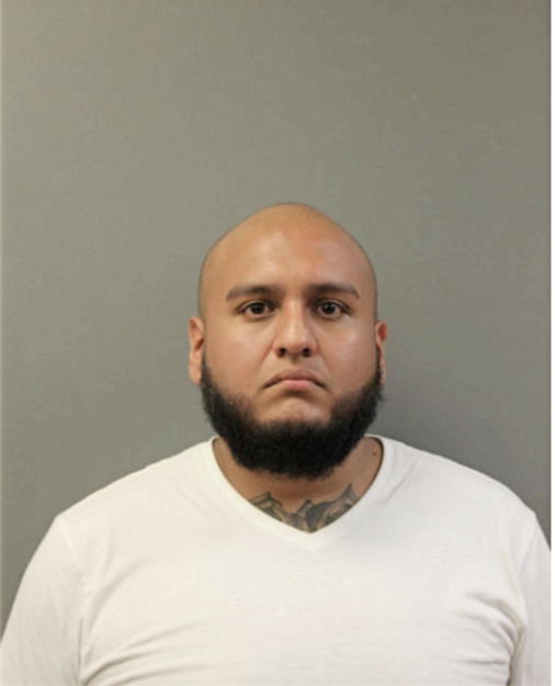 ORLANDO ZAPATA, Cook County, Illinois