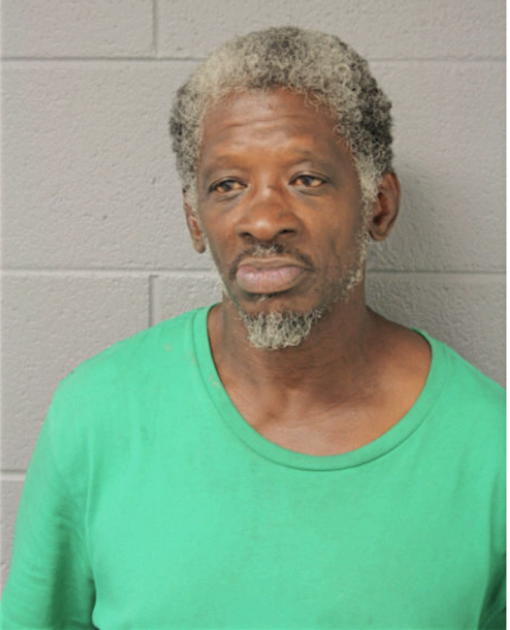 DENNIS G AKINS, Cook County, Illinois