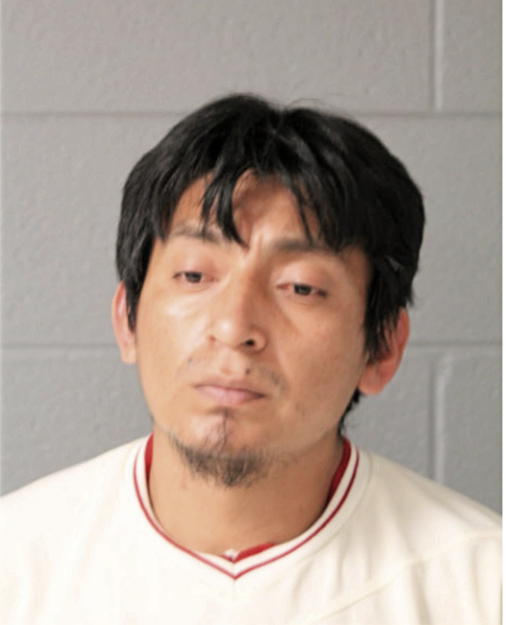 CHRISTIAN A AREVALO-TENESACA, Cook County, Illinois