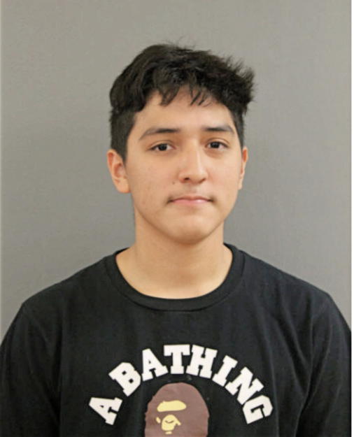 ADRIAN ARREOLA, Cook County, Illinois