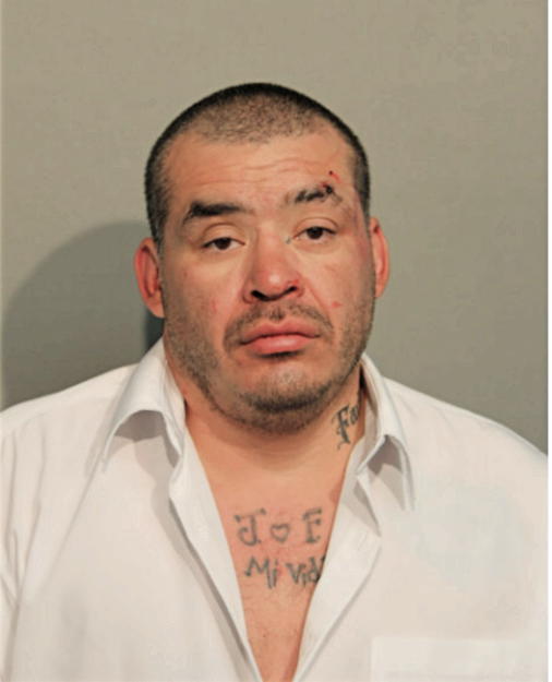 JOSE H BAHENA, Cook County, Illinois