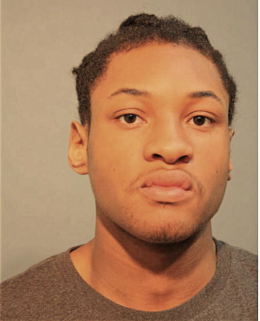 MARK BRADFORD, Cook County, Illinois