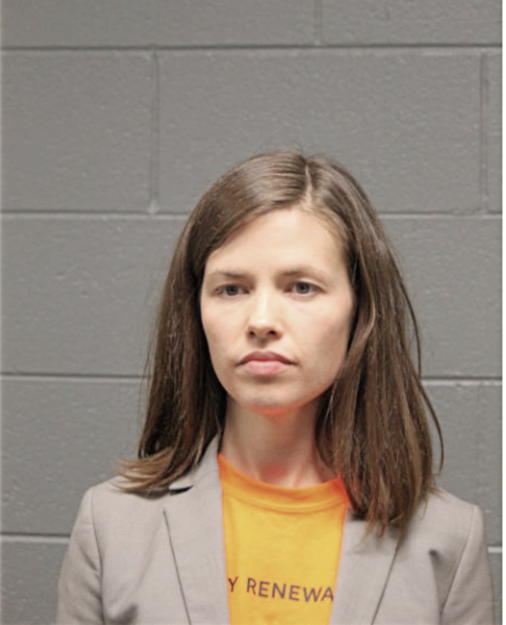 MARY L DUNGY-AKENJI, Cook County, Illinois