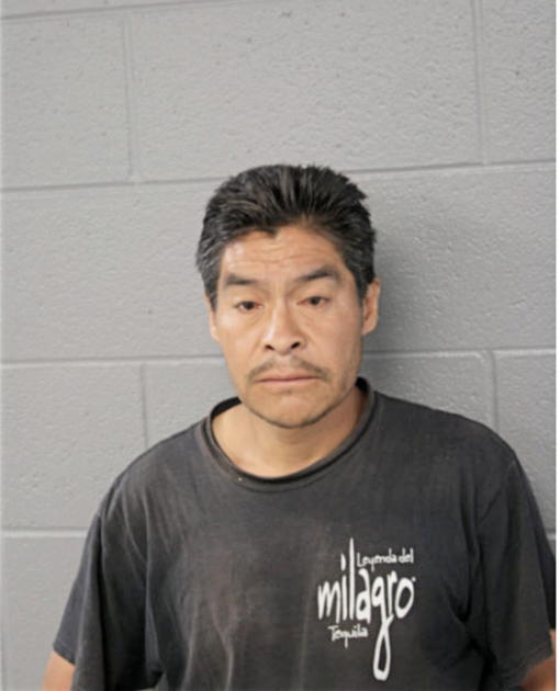 GERMAN FERNANDEZ, Cook County, Illinois