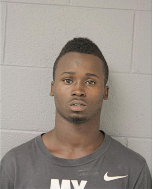 NOAH R GADSON, Cook County, Illinois