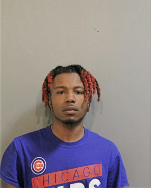 BRIAN P HENDERSON, Cook County, Illinois