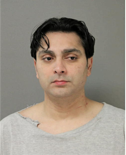 VISHAL C HENON, Cook County, Illinois