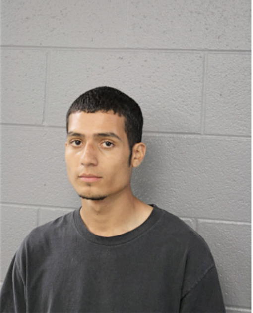 FROYLAN HERNANDEZ, Cook County, Illinois