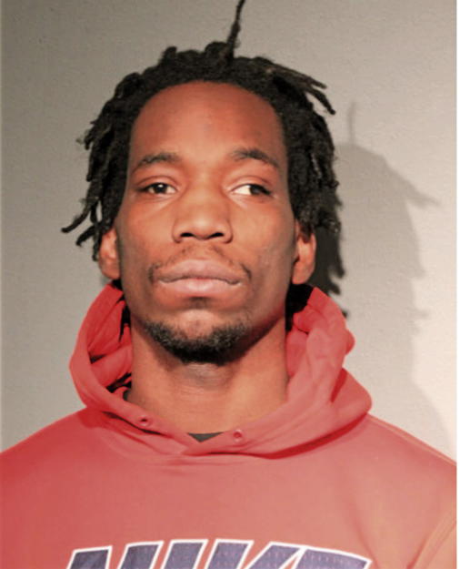 DAKOTA J HOLT, Cook County, Illinois