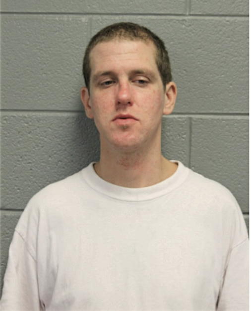 JOEL R HOLZBERG, Cook County, Illinois