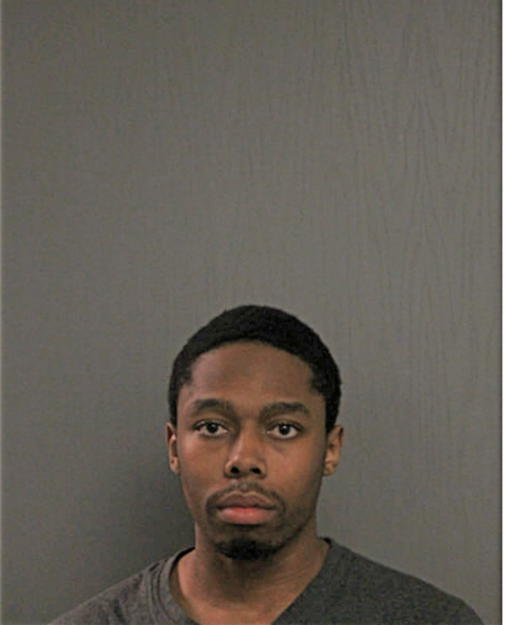 DAVID T JOHNSON, Cook County, Illinois