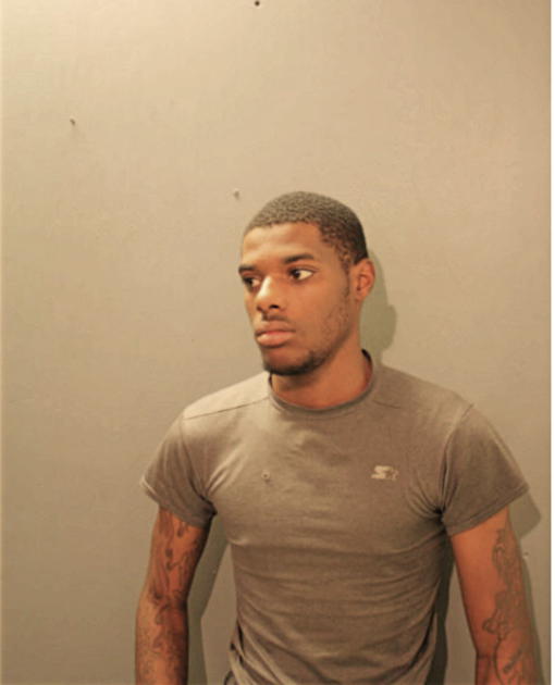 LEONARD P LILLIE, Cook County, Illinois
