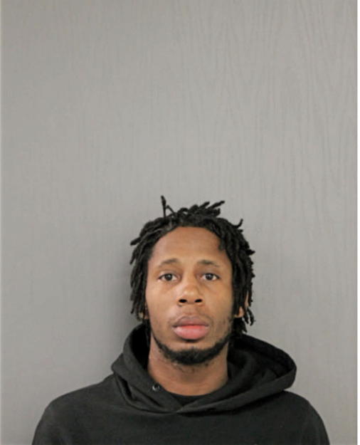 BRENT W LYNCH, Cook County, Illinois