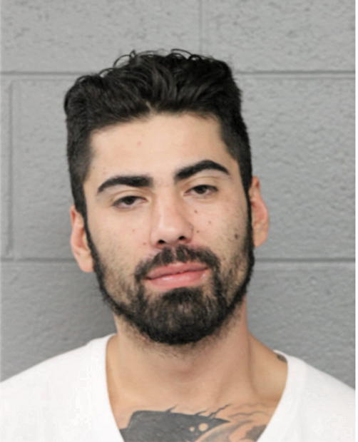 DAVID M MALESKY JR, Cook County, Illinois