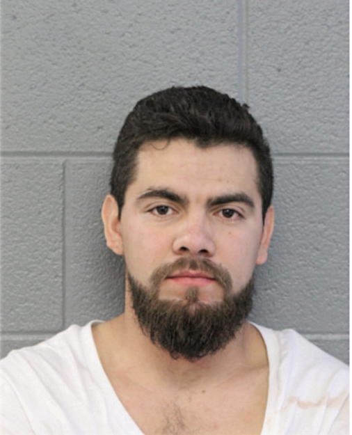 ANGEL M MARTINEZ, Cook County, Illinois