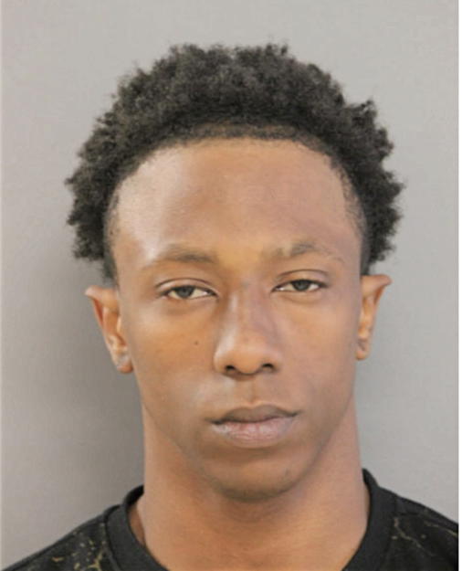 PATRICK A MCGEE, Cook County, Illinois