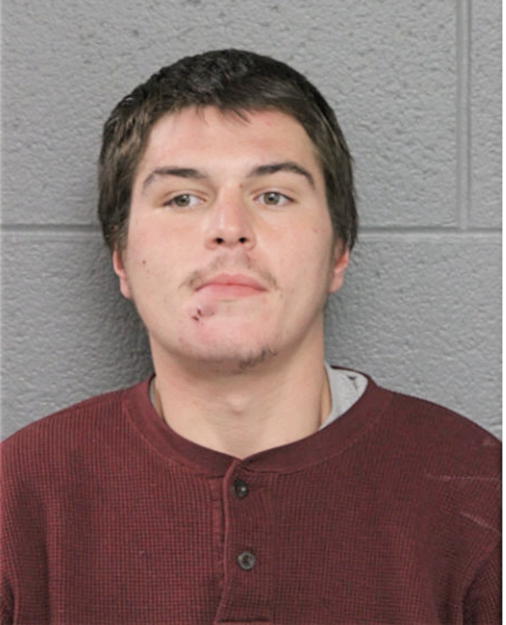 ANGEL L RAMOS, Cook County, Illinois