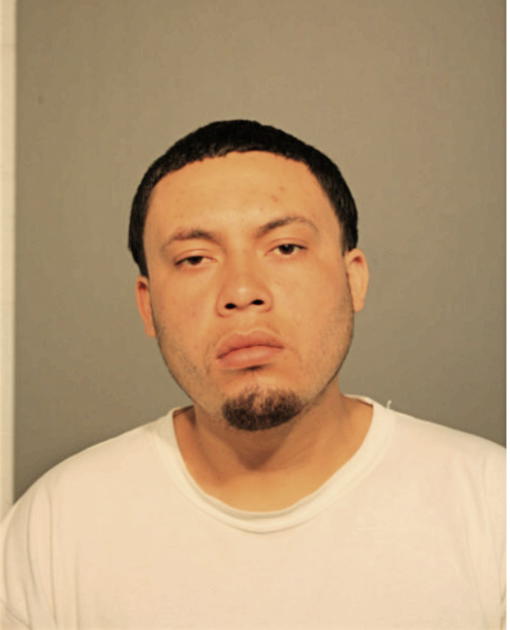 GUSTAVO RENTERIA, Cook County, Illinois