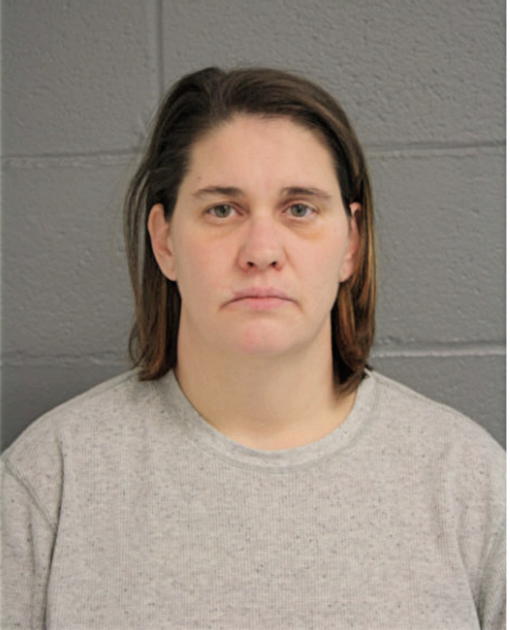 SHANNON K SCHLEEK, Cook County, Illinois