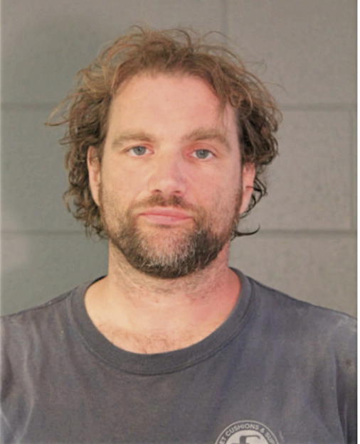 WAYNE A THOMAS, Cook County, Illinois
