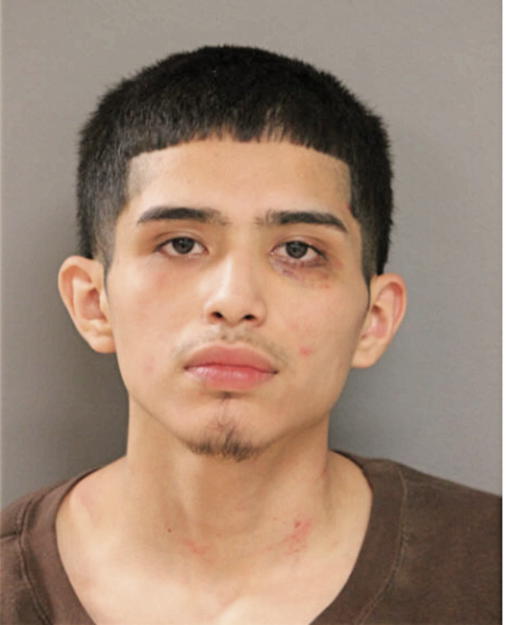 AMADEUS H VARGAS, Cook County, Illinois