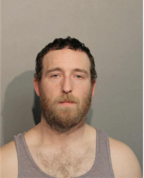 JUSTIN M WALTON, Cook County, Illinois