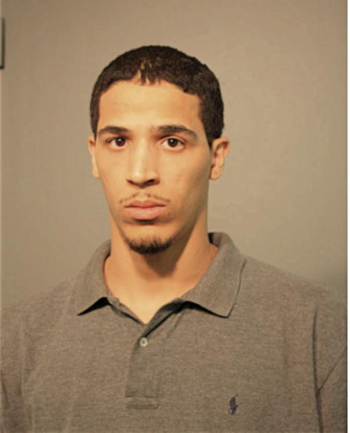CAMERON R WILLIAMS, Cook County, Illinois