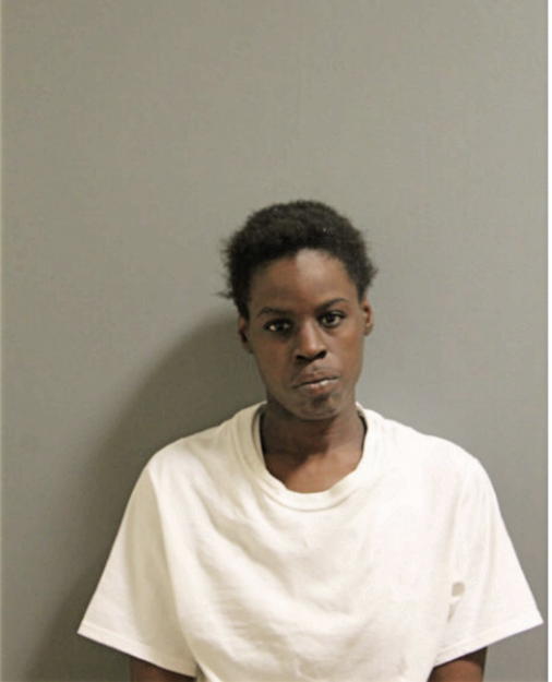 ERICA L YOUNGBLOOD, Cook County, Illinois