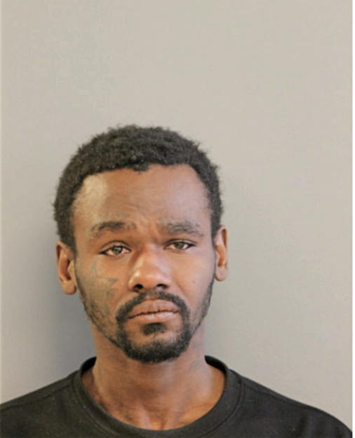 MICHAEL M BAKER, Cook County, Illinois