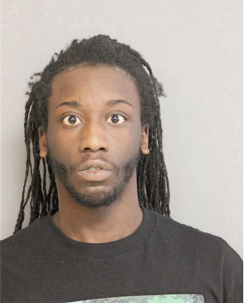 TERRELLE J BEAL, Cook County, Illinois