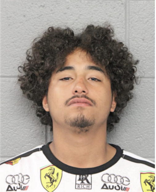 CHRISTIAN BENAVIDES-ACEVEDO, Cook County, Illinois