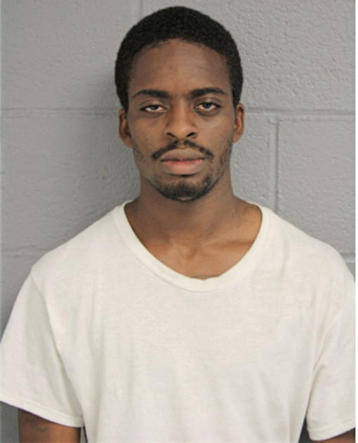 JAMYRIS L CANNON, Cook County, Illinois