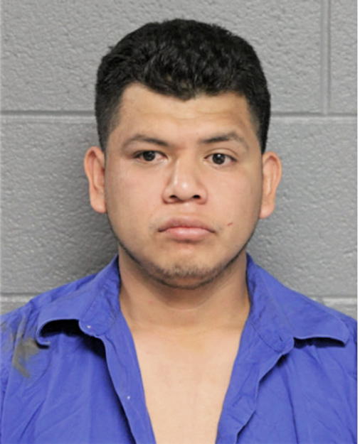 JOSE M CISNEROS, Cook County, Illinois