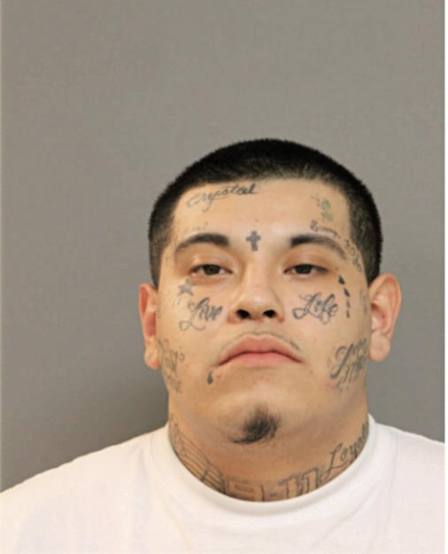 SHEA I DELGADO, Cook County, Illinois