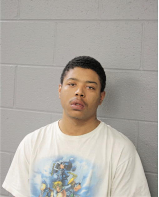 NATHANIEL T DIXON, Cook County, Illinois
