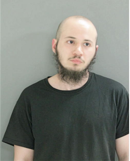 ALEN DZANANOVIC, Cook County, Illinois