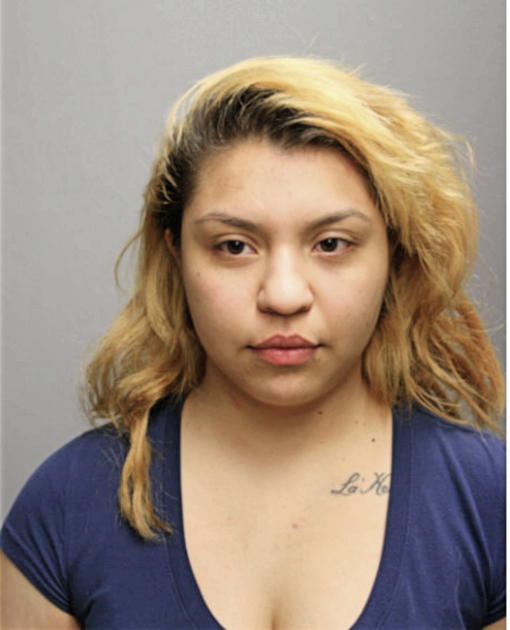 ALEJANDRA G ESTRADA, Cook County, Illinois